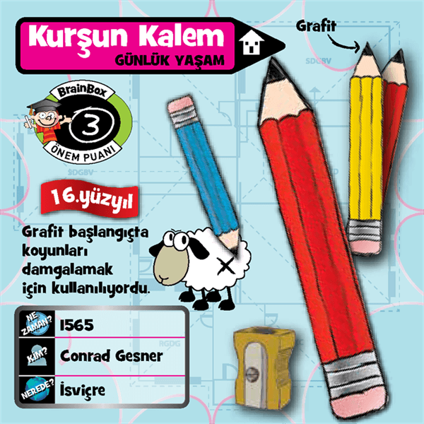 BrainBox İcatlar - Türkçe | Hafıza ve Dikkat Oyunu