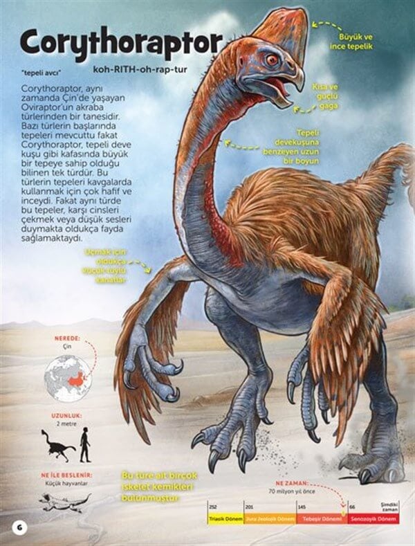 Dinozor Sevenler İçin Hidden Pictures | 4+ Yaş
