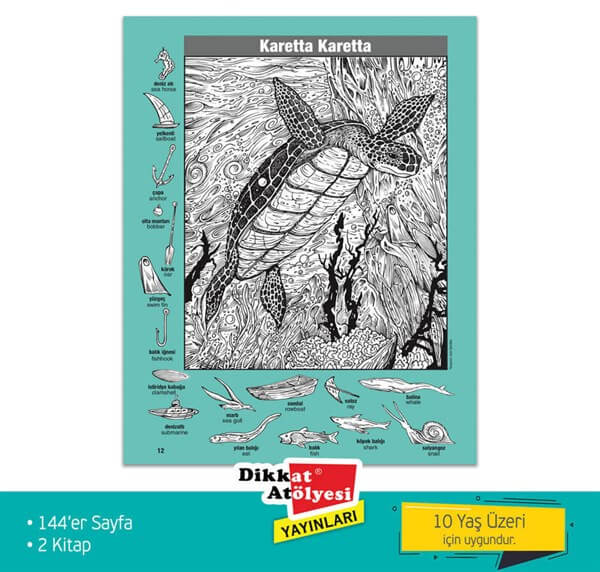 Favori Hidden Pictures 2li Set 10+ Yaş