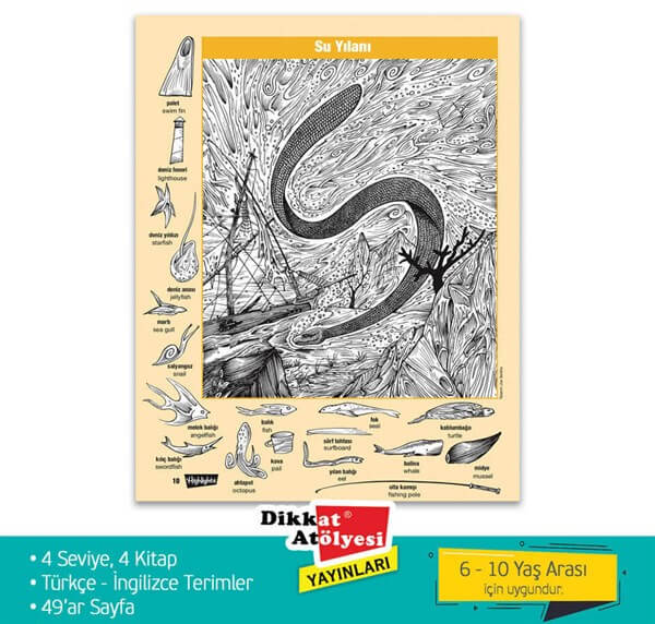 Hidden Pictures Gizli Resimler 4lü Set (6-10 Yaş)