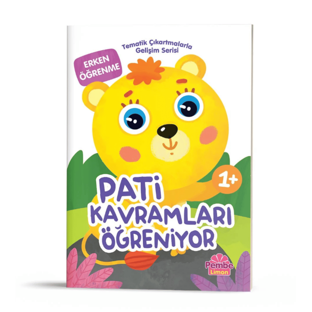 Tematik Çıkartlamalarla Gelişim Serisi 5Li Set