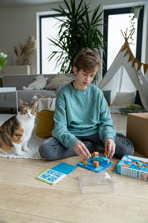 Cats & Boxes | SmartGames 7+ Yaş