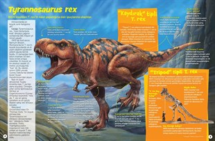 Dinozor Sevenler İçin Hidden Pictures | 4+ Yaş