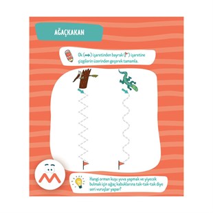 Eğitici Çizgiler Etkinlik Kitabı 2 - 4 Yaş 