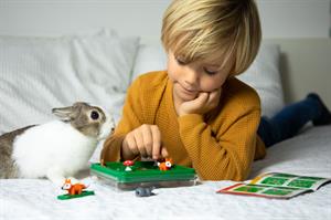 Jump İn | Smart Games 7+ Yaş