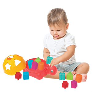 Kaplumbağa BulTak 1+ Yaş | Dede Marka