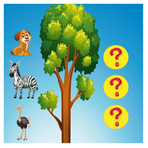 Math Forest Eğlenceli Matematik Oyunu 4 Yaş üzeri