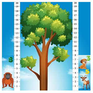 Math Forest Eğlenceli Matematik Oyunu 4 Yaş üzeri