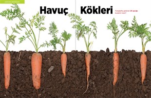 Photo Puzzlemania! Eğlenceli Etkinlikler | 6+ Yaş