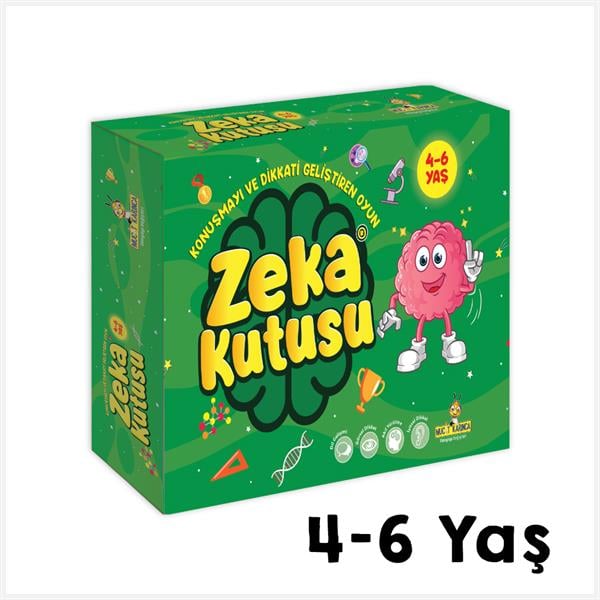  Zeka Kutusu - Dikkati Geliştiren Oyuncak (4-6 Yaş) 