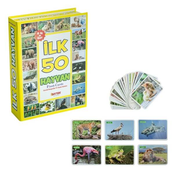 İlk 50 Hayvan Flash Card