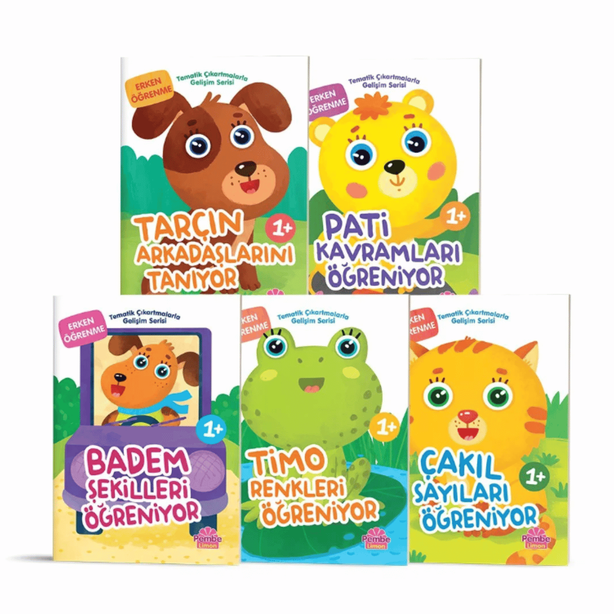 Tematik Çıkartlamalarla Gelişim Serisi 5'Li Set