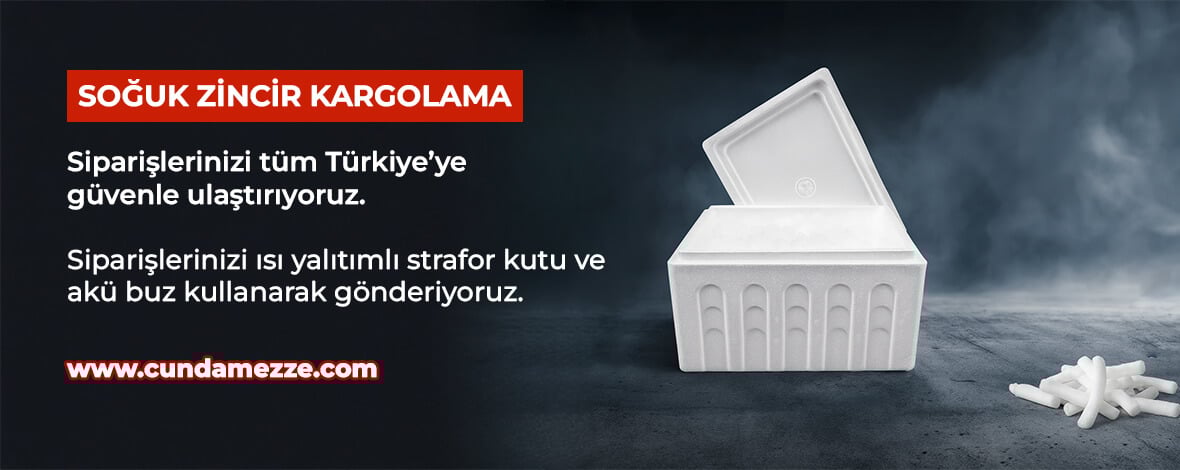 Soğuk Zincir Kargo