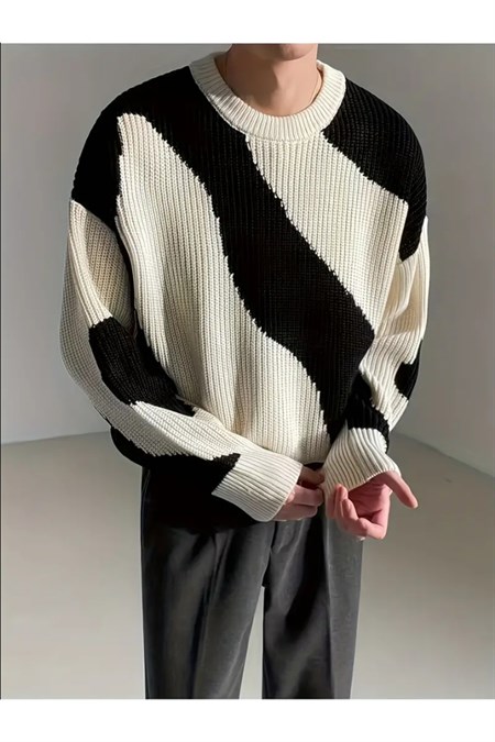 Erkek Regular Fit Triko Kazak