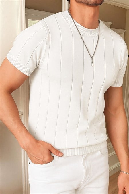 Erkek Fit Dokulu Kısa Kollu Bisiklet Yaka Triko Tişört
