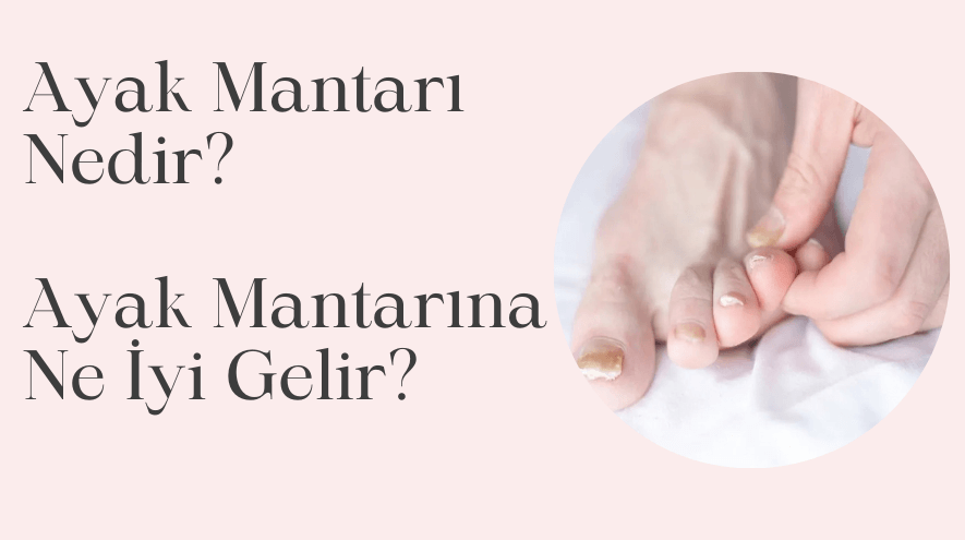 ayak mantarı