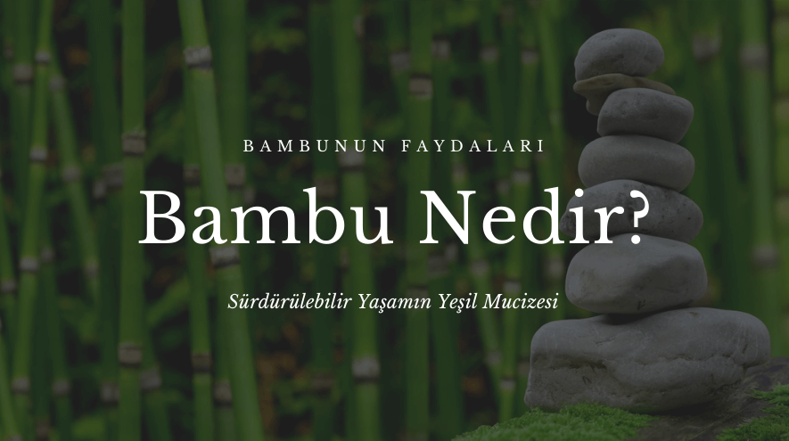 Bambu nedir