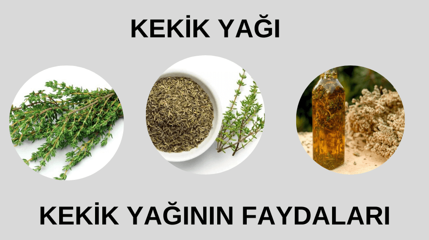 kekik yağı