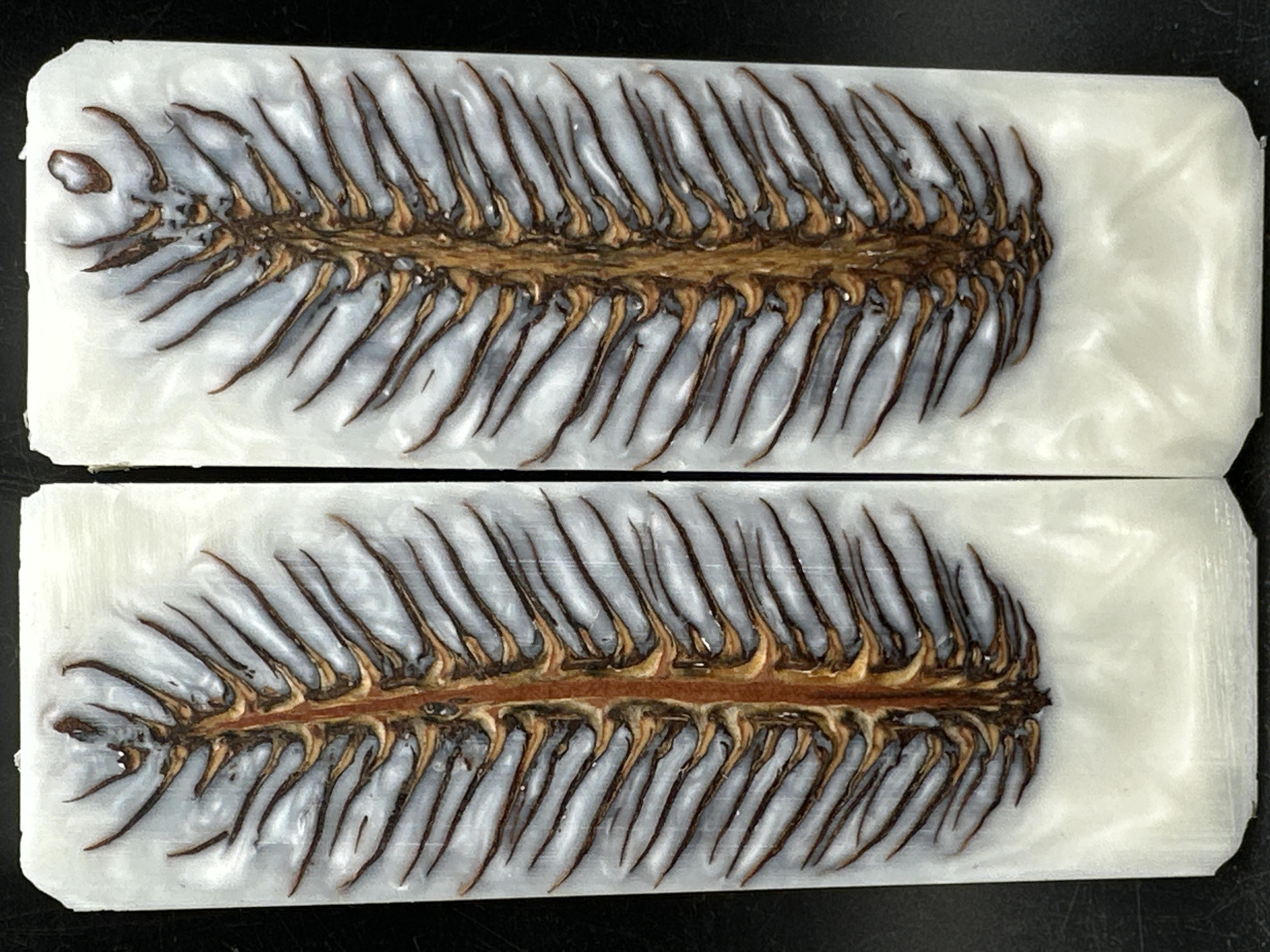 KOZALAK HİBRİT KABZELER