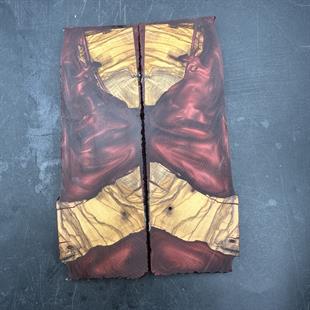 Kırmızı Zeytin Hibrit