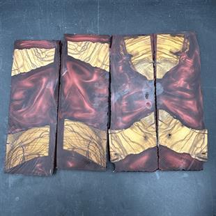 Kırmızı Zeytin Hibrit