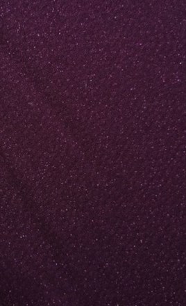 Purple Lycra Shiny