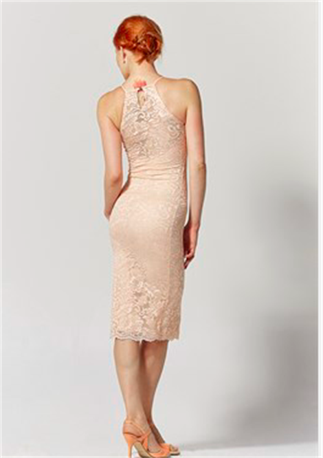 Lace Tango Dress Glance With Transparency