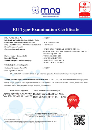 YDS Diablo 11.0 GTX CE Sertifikası Önizleme
