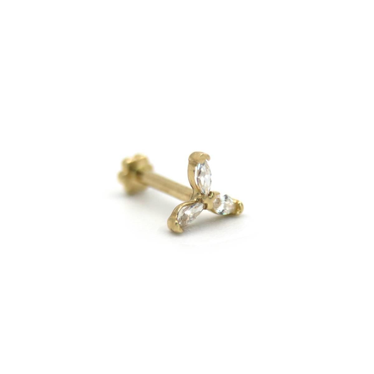 Fyllo Tragus