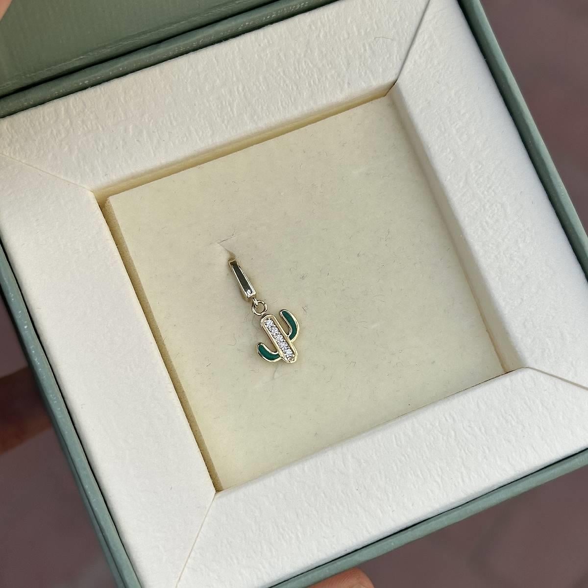 Kaktüs Charm