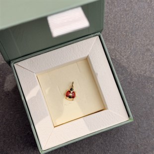 Uğur Böceği Kolye Ucu