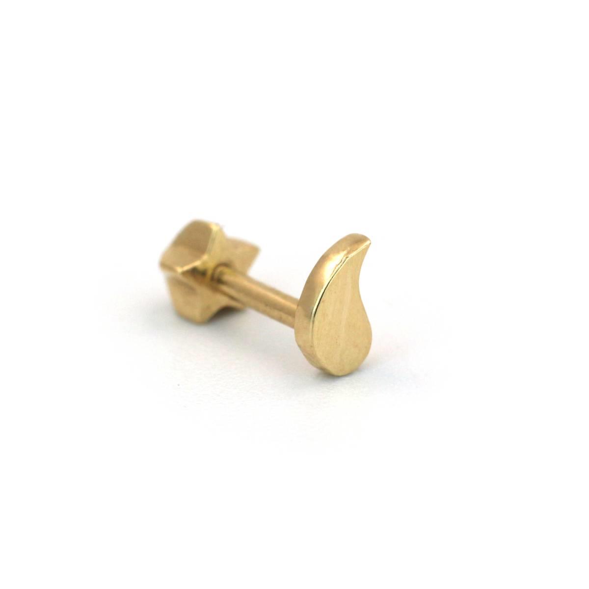 Damla Tragus