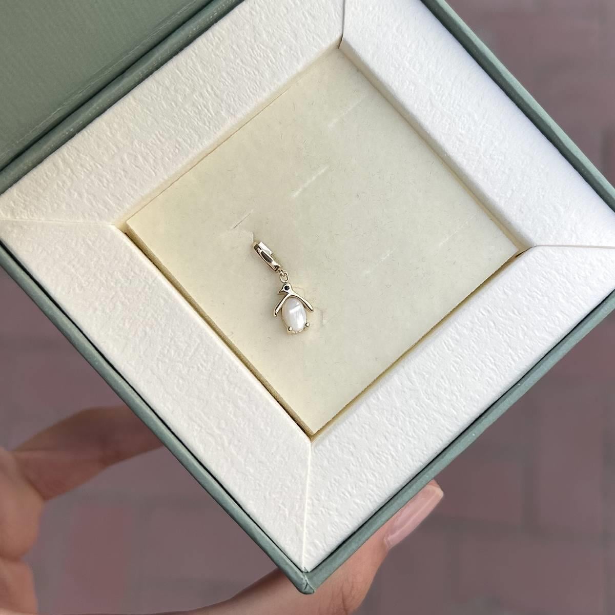 Penguen Charm