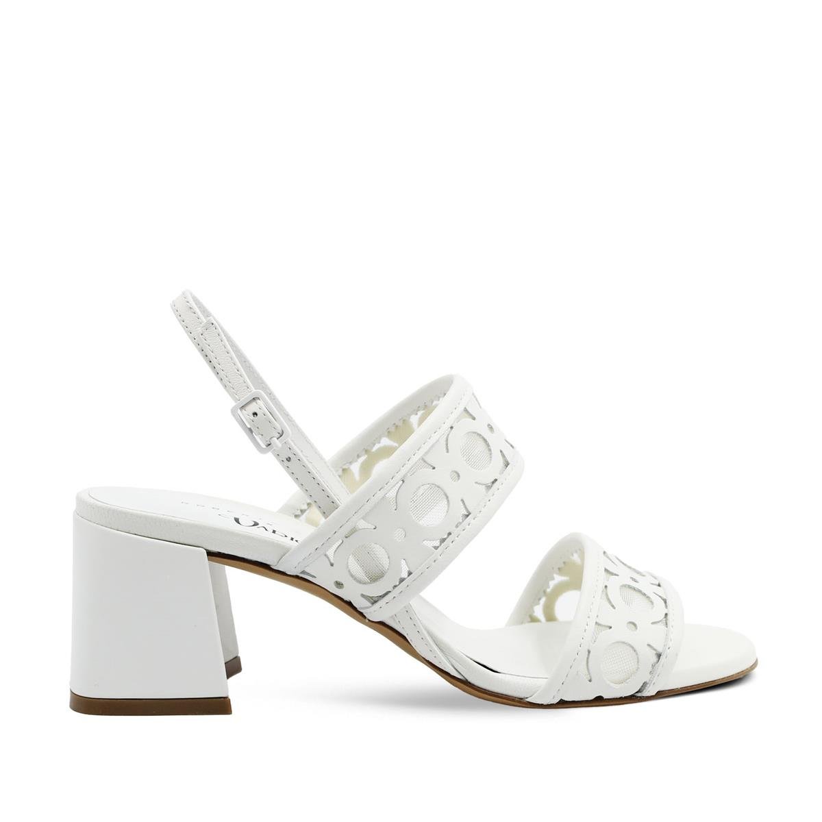 Roberto Festa (Vario) 703 NAPPA BIANCO