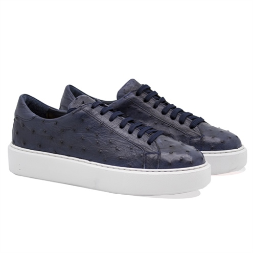 VARIO LACİVERT DEVEKUŞU / ORJ. OSTRİCH