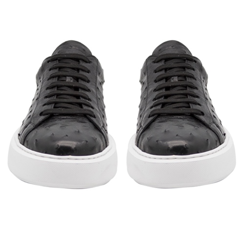 VARIO SIYAH DEVEKUŞU / ORJ. OSTRİCH