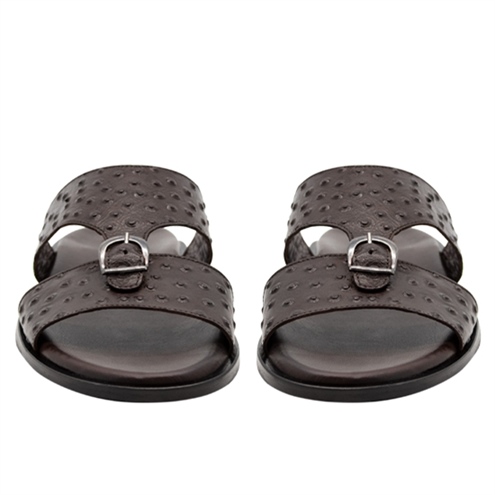 VARIO KAHVE DEVEKUŞU