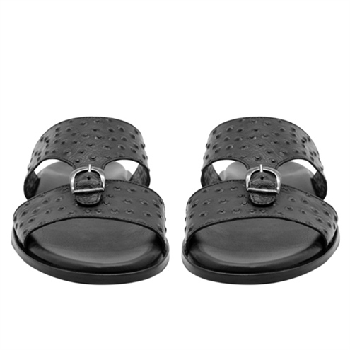 VARIO SIYAH DEVEKUŞU