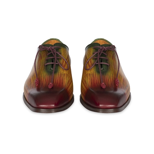 VARIO TABA GÖKKUŞAĞI