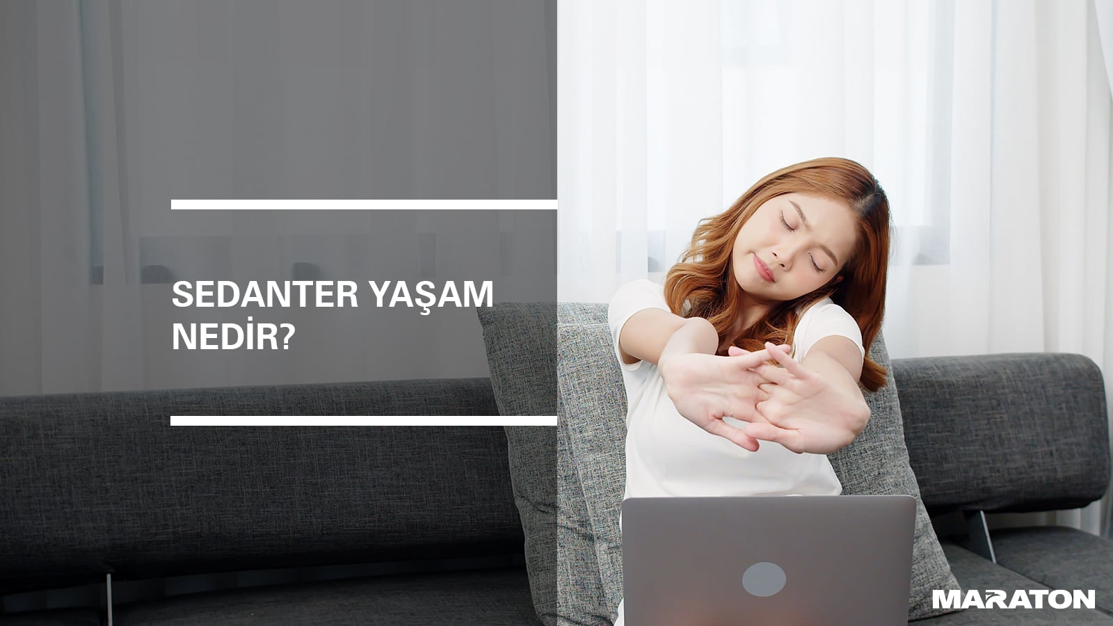 Sedanter Yaşam Nedir?