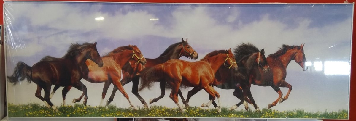 50*150 KANVAS DOKULU TABLO-1