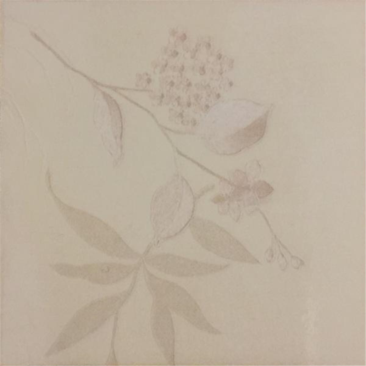 Bb Collection Hans Duvar Kağıdı 8802 7 M2