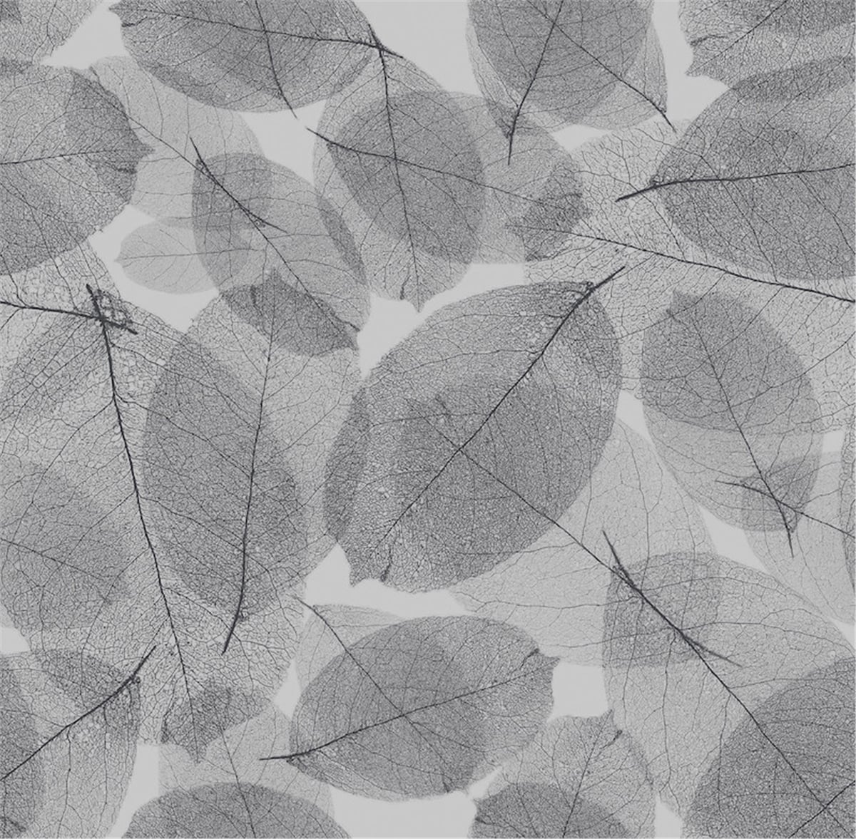 Petra 5207-1 Duvar Kağıdı