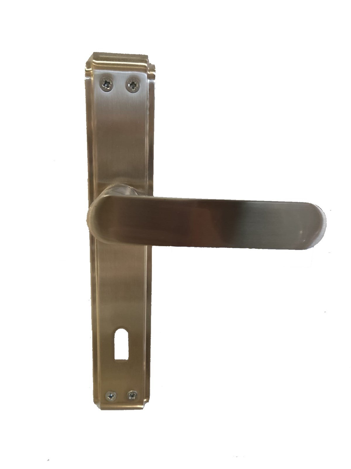 Sofuoğlu Barbaros Anka Zamak Aynalı Wc İnox Saten Kapı Kolu