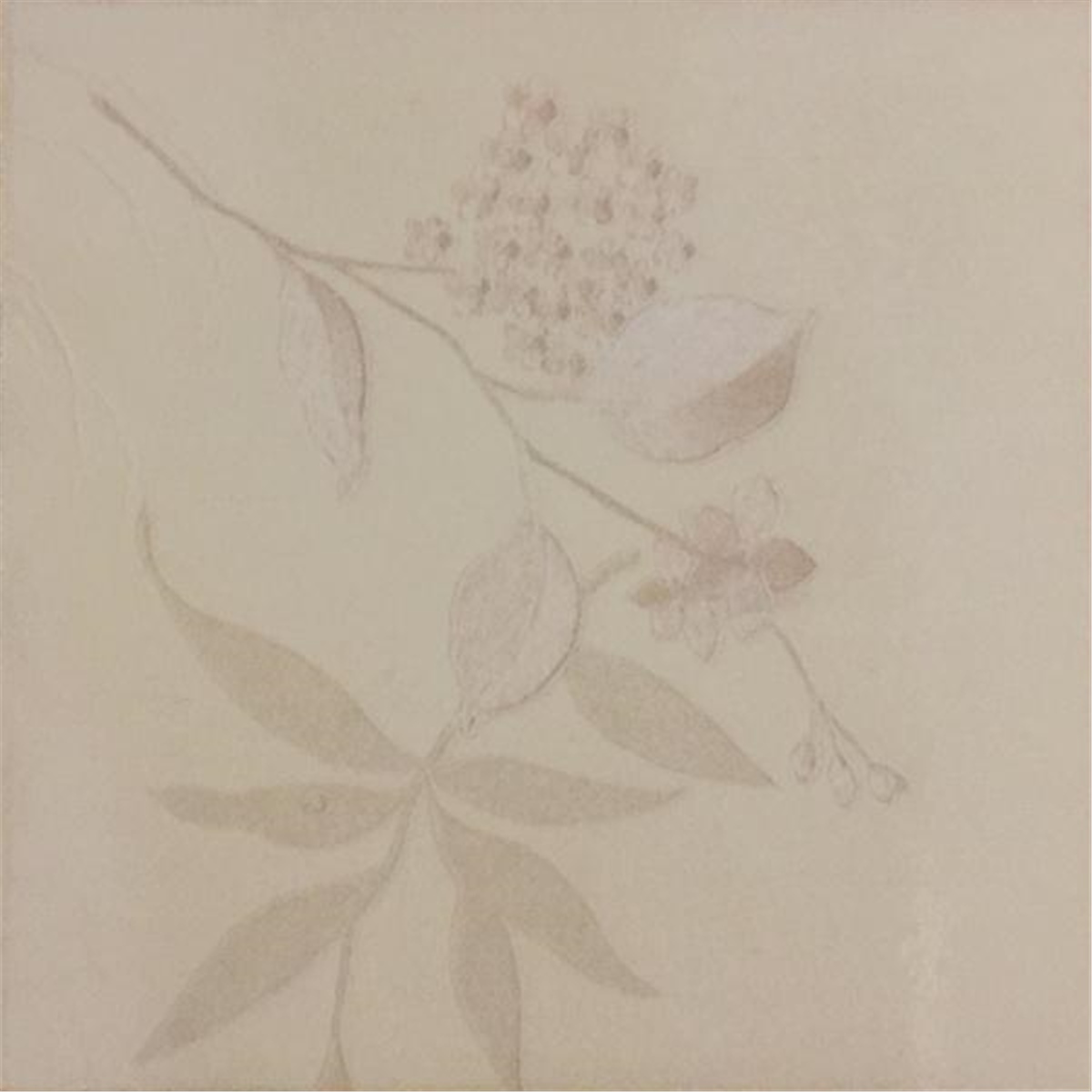 Bb Collection Hans Duvar Kağıdı 8802 7 M2