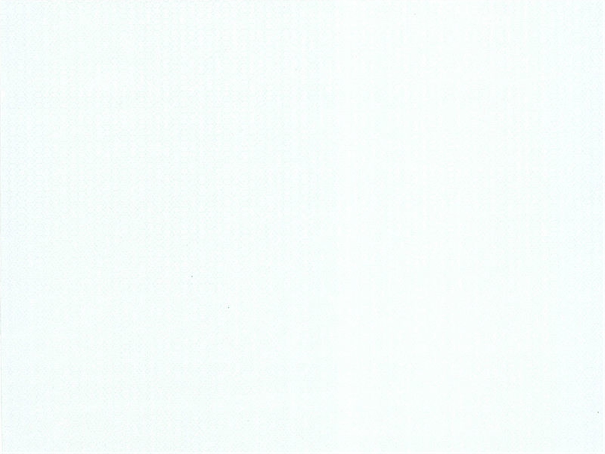 BB COLLECTION VERONİS  6618-3 DUVAR KAĞIDI