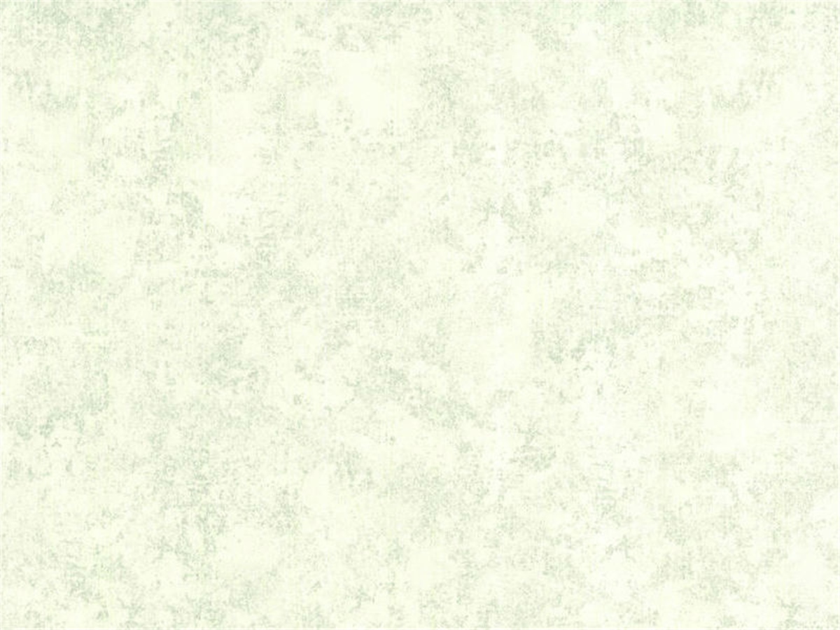 BB COLLECTION VERONİS  6620-2 DUVAR KAĞIDI