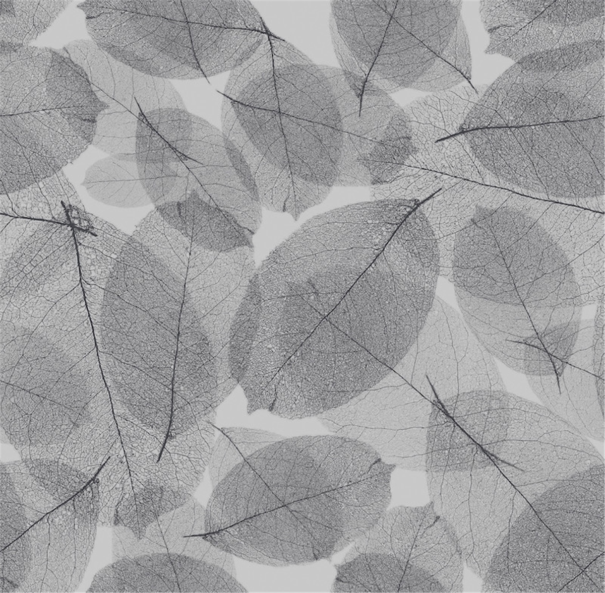 Petra 5207-1 Duvar Kağıdı