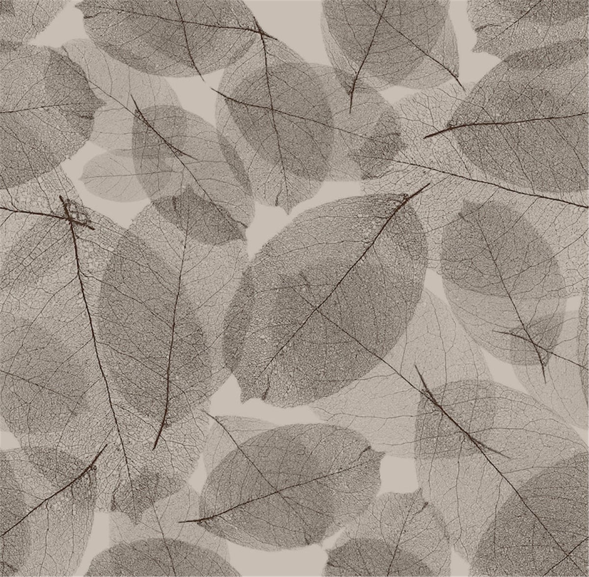 Petra 5207-2 Duvar Kağıdı