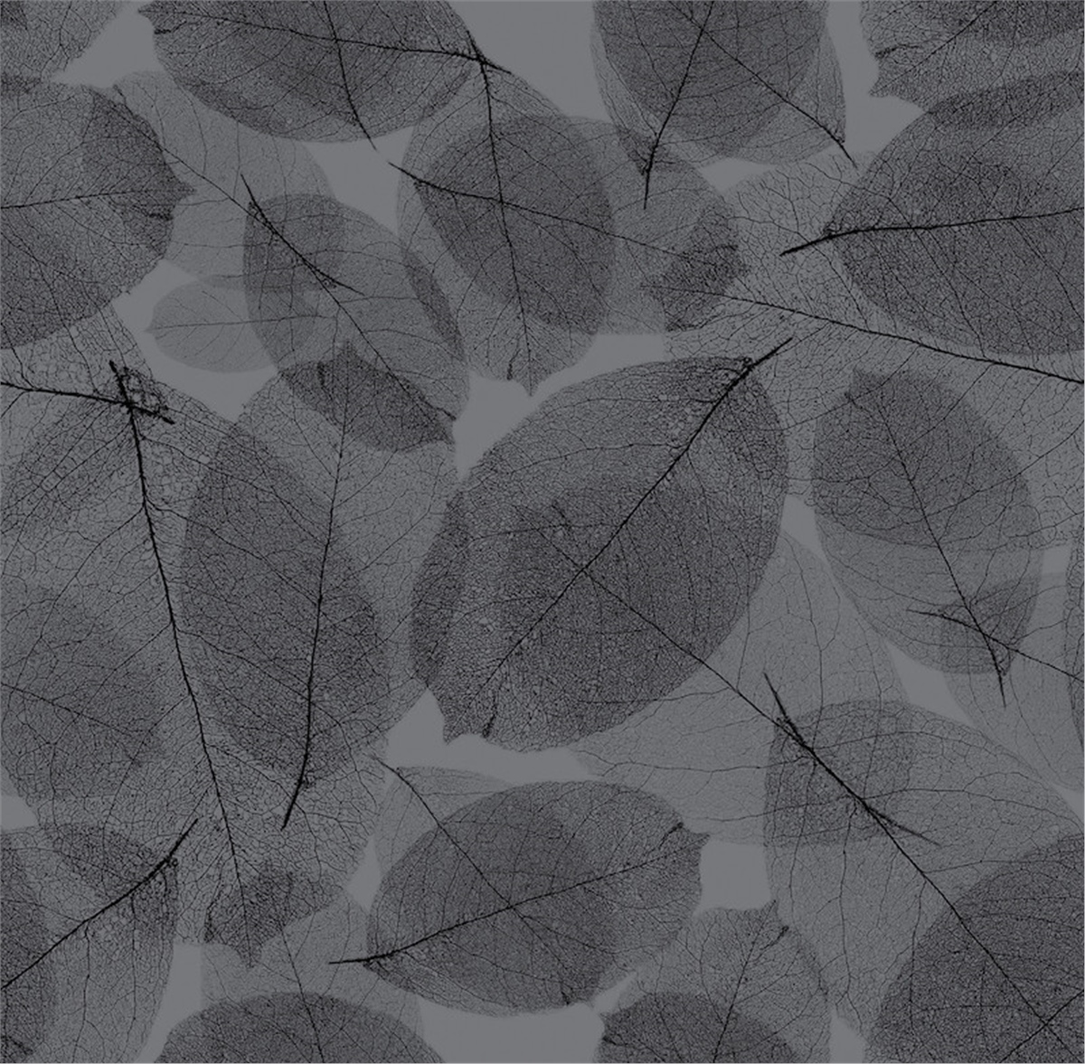 Petra 5207-3 Duvar Kağıdı